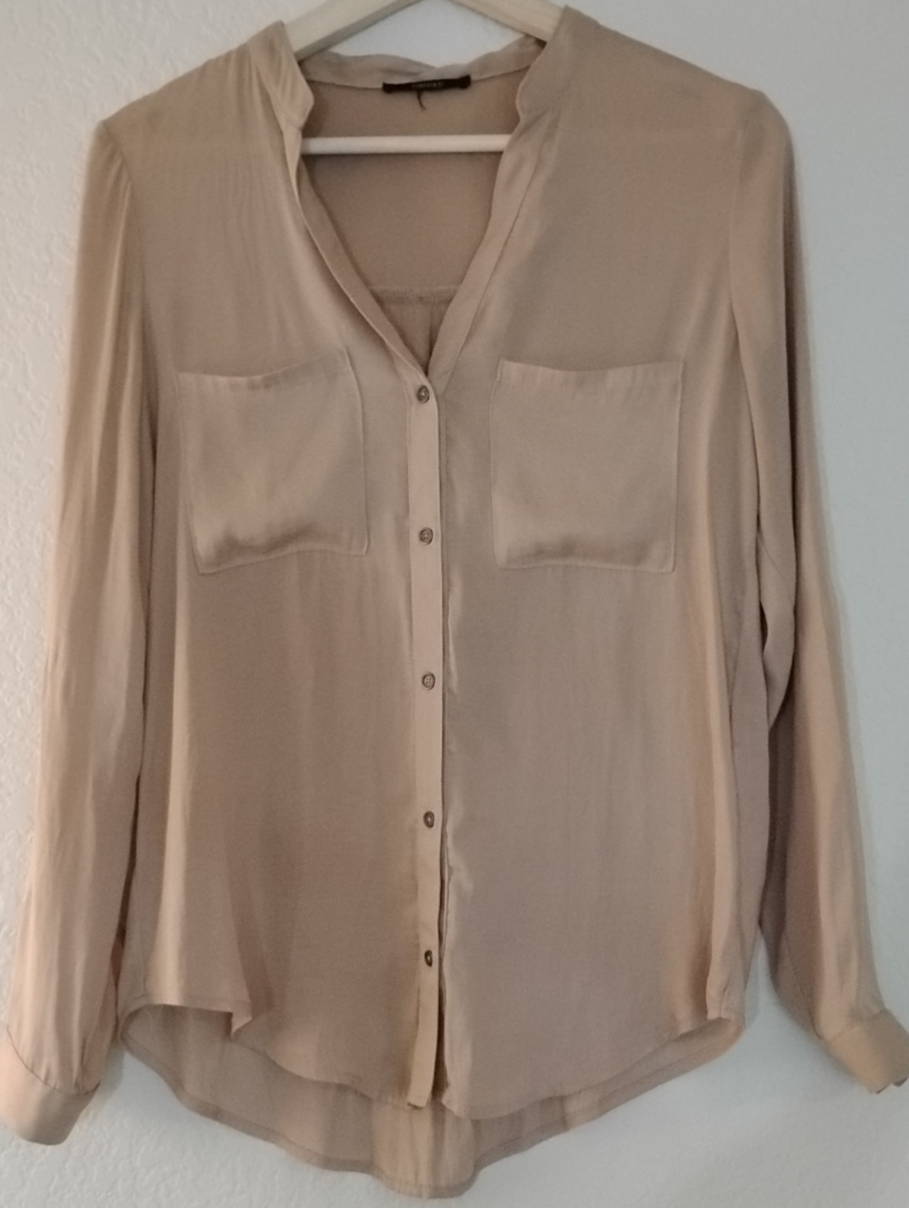 Taupe Satin Casual Long-Sleeve Button Front Women's Blouse